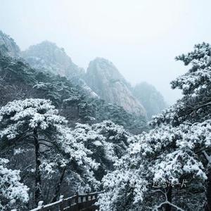 想你一遍雪落一片 (Cover 沧桑小杰)