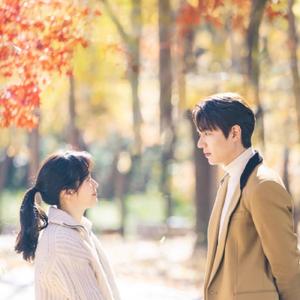 Maze（The King-永远的君主ost）（翻自 YONGZOO）