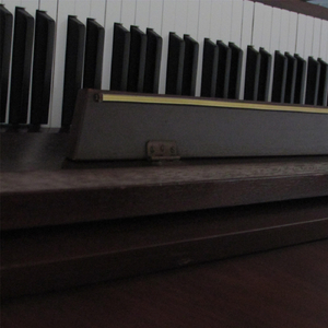 It's Too Much to Take (Bonus Track)