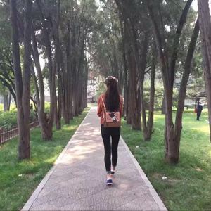 卡农（翻自 classicalArtists）