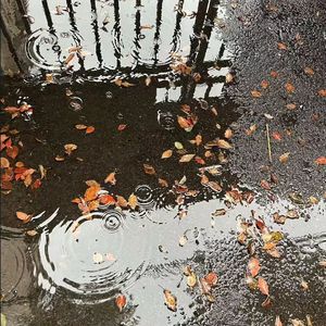 【Free】情雨 lofi jazz beat