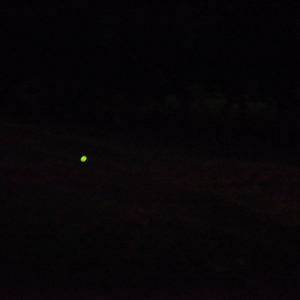 Demo-壬寅九月初五