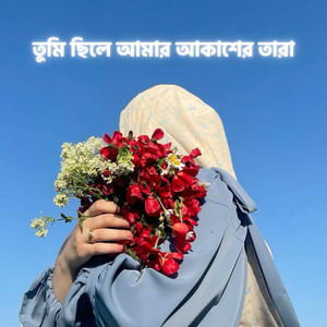 তুমি ছিলে আমার আকাশের তারা