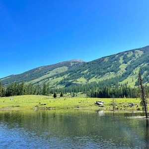 《Cyberpunk Reverberations in Distorted Tones》