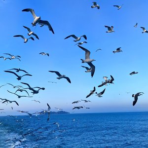 很多事是命中注定的