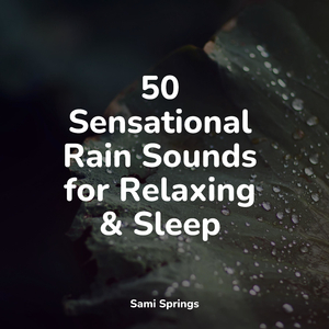 Ocean, Waves, Splashing