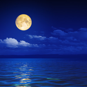 Reflective Motet's Echoes