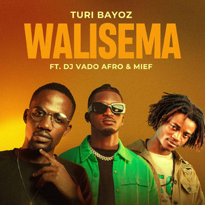 Walisema