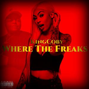 Where The Freaks (Freaky Girl) (feat. 1AMBABYJOKER)