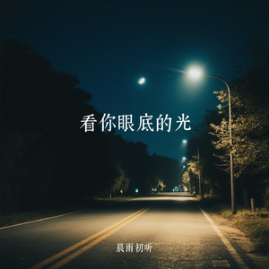 看你眼底的光