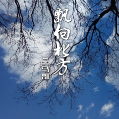 飘向北方 (DJ版)