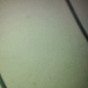 Pentru toate doamnele senzuale