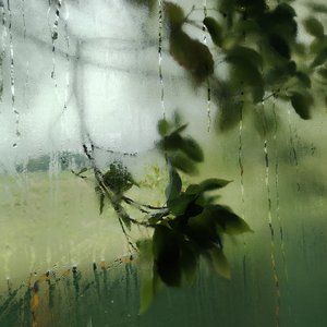 你是世间送我的一场梦