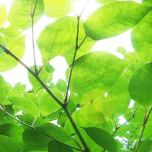 第01集_忽而今夏