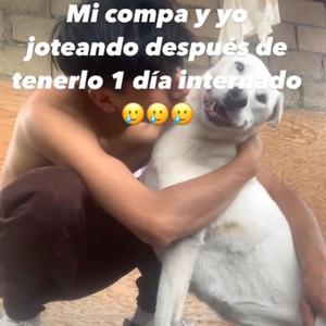 Juntos mi Grifis (feat. Yoxan)