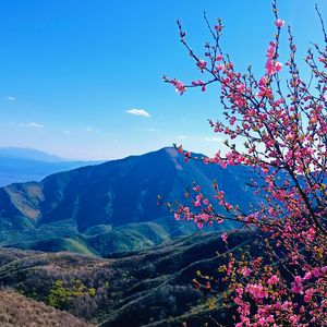 千里爱之浪漫
