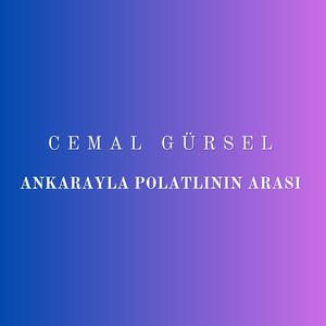 Ankarayla Polatlının Arası