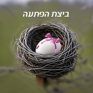 ביצת הפתעה