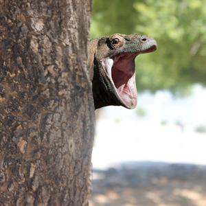 Poo Pip Shop Destoyer 2 (feat. Toby)