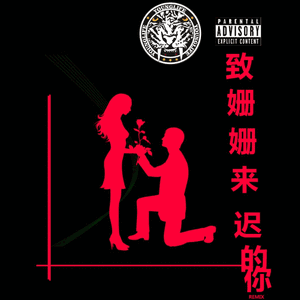 致姗姗来迟的你Rmix  翻自 阿肆