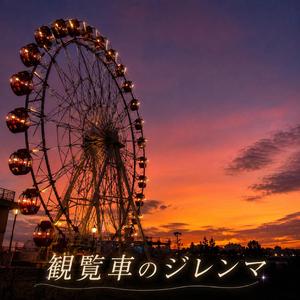 8月のアロエ