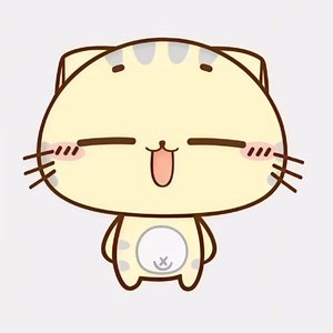 买了否冷(cc猫1.0)