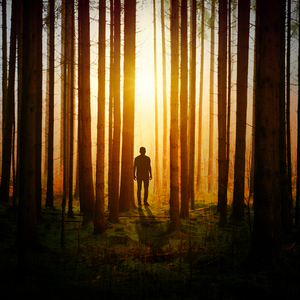 Sounds of Rain and Thunder