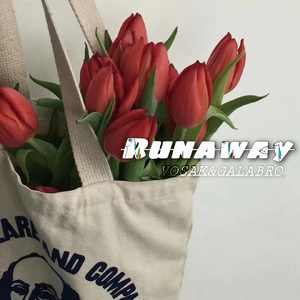 Runaway （VoSak & GALABRO & REGRET Remix）