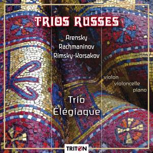 Trio en ré mineur, Op. 32: I. Allegro moderato