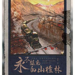 塞海莱