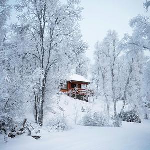 Glacier Freeze (You Love Me)