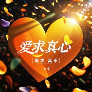 爱求真心