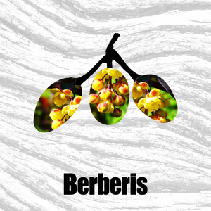 Poika (Original Mix)