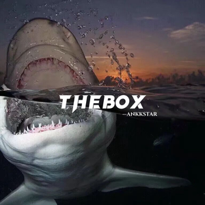THEBOX（Remix）