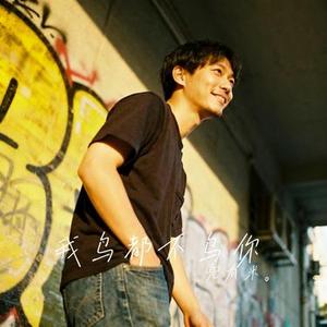 我鸟都不鸟你 (Remix)