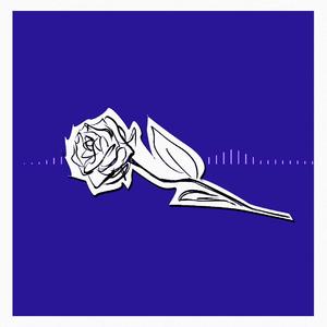 这次我打算原谅世界