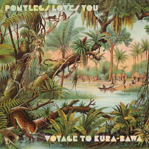 The Amazing Discovery of What the Universe Really Is