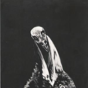 The Exterminating Angel