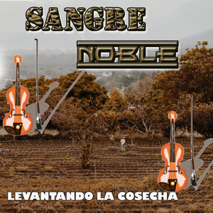 Levantando la Cosecha