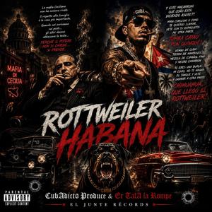 Rottweiler Habana