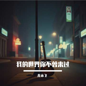 我的世界你不曾来过