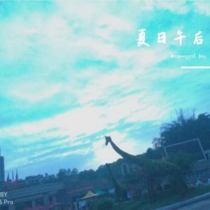 夏日午后搭配鲜柠檬水