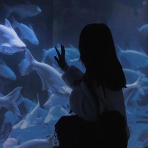 不得不爱(DJ热播版)