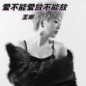 爱不能爱放不能放