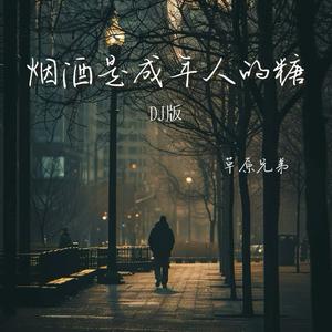 烟酒是成年人的糖 (DJAX1n版)