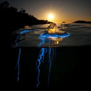 Before The End (prod. notmorgn)