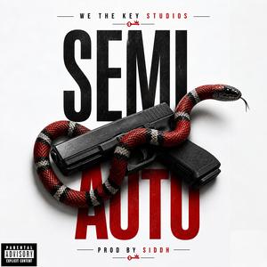 Semi Auto