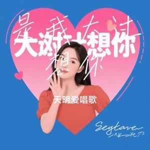 是我太过想你(Cover 十七楼的尖叫)