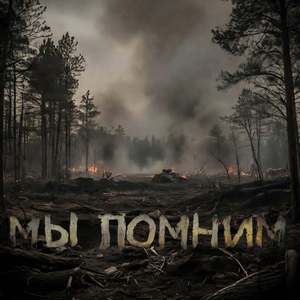Мы Помним (Hm Remix)
