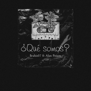 ¿Que Somos?
